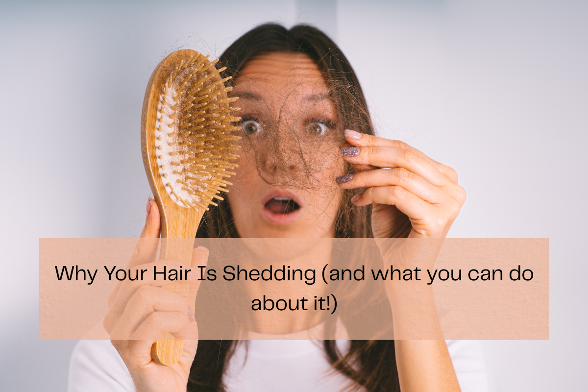 Why Your Hair Is Shedding (and What You Can Do About It!)