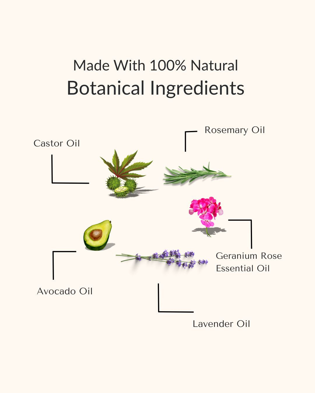beauty renewal hair oil for all hair types
